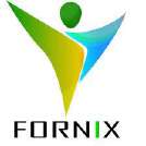 fornix